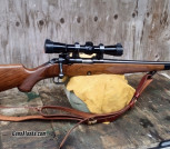 Winchester 52C sporting 22lr